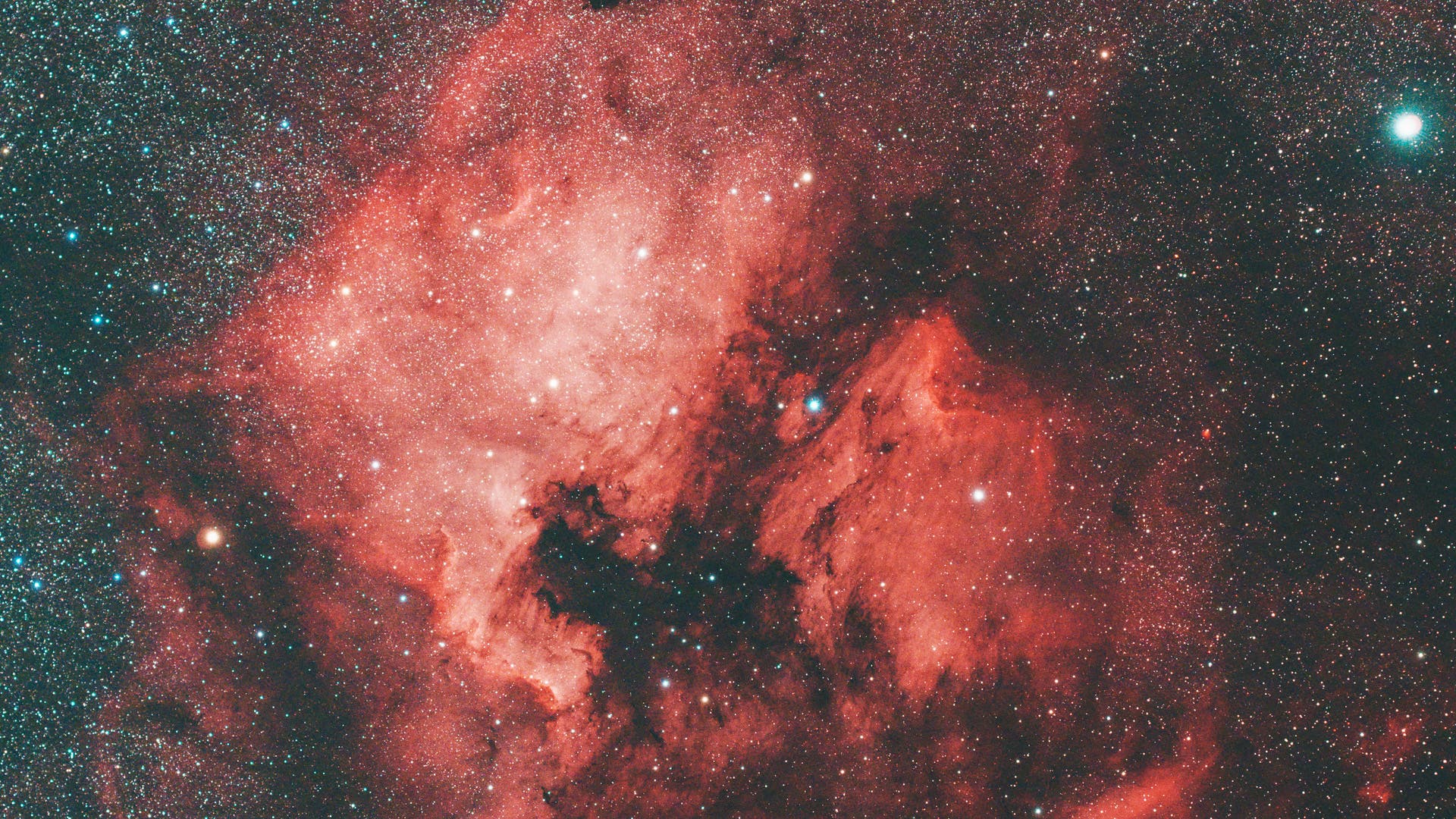 NGC 7000 und IC 5070 Spektrum der Wissenschaft